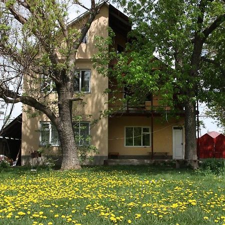 ホテル Дом Жени И Люды Zhabagly エクステリア 写真